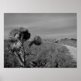 de heide in de zomer van Madrid Poster