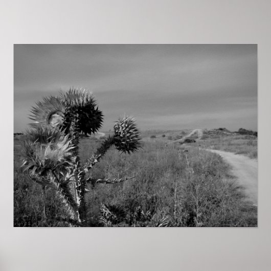 de heide in de zomer van Madrid Poster (Voorkant)
