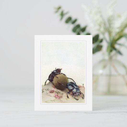 De Heilige Beetel Briefkaart (Staand voorkant)