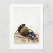 De Heilige Beetel Briefkaart (Voorkant)