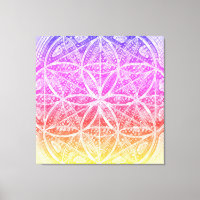 De heilige blauwdrukken | Miami Sunset, Seed of Li