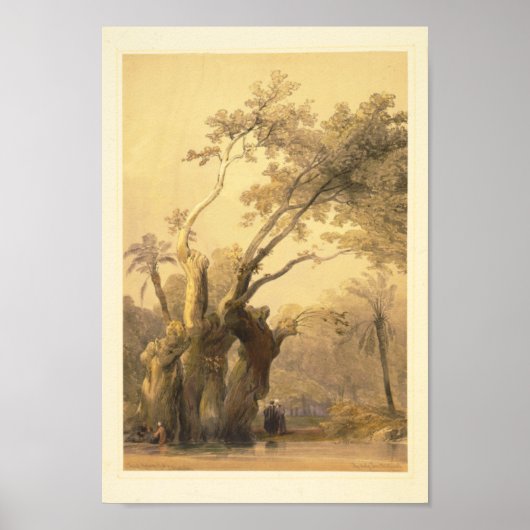 De heilige boom, Metereah Poster (Voorkant)