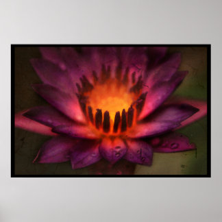 De heilige brandweerdansdoek van een Lotus Poster