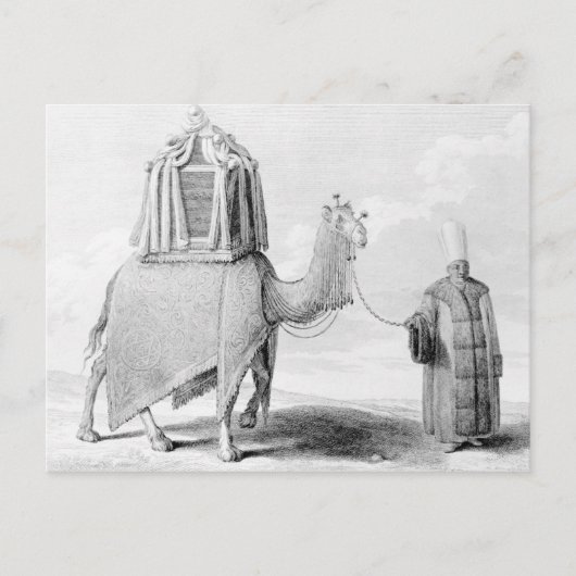 De Heilige Camel Briefkaart (Voorkant)