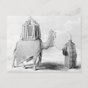 De Heilige Camel Briefkaart