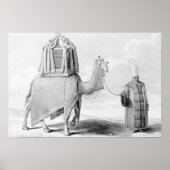 De Heilige Camel Poster (Voorkant)