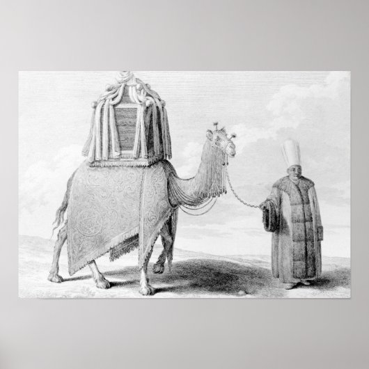 De Heilige Camel Poster (Voorkant)