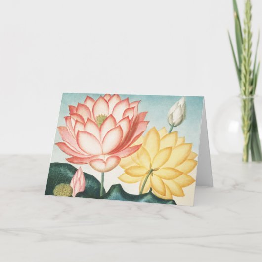 De Heilige Egyptische Boon  Kaart (Voorkant)