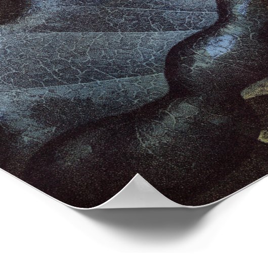 De heilige Egyptische boon Poster (Hoek)