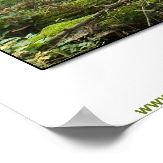 De heilige grove poster (Hoek)