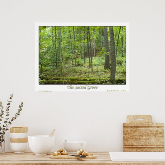 De heilige grove poster (Keuken)