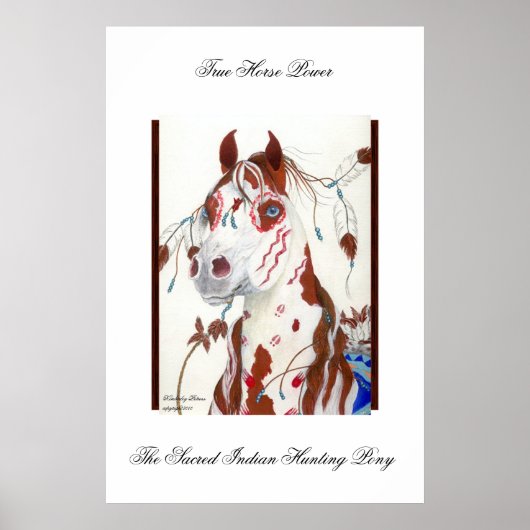 De heilige Indische jaaghals Pony Poster (Voorkant)