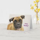 De heilige Kaart van de Verjaardag van de Bokser (Gele Bloem)