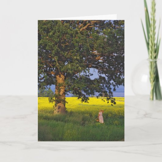 DE HELD   VERMONT VAN HET NOORDEN VAN WENSKAARTEN KAART (Voorkant)