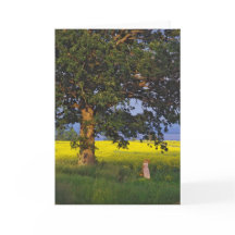 DE HELD   VERMONT VAN HET NOORDEN VAN WENSKAARTEN