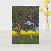 DE HELD   VERMONT VAN HET NOORDEN VAN WENSKAARTEN KAART (Gele Bloem)