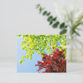 De heldere Boom kleurt Briefkaart (Staand voorkant)