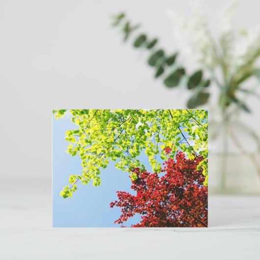 De heldere Boom kleurt Briefkaart (Staand voorkant)