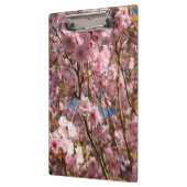 De heldere lentekleur van kersenbloesem klembord (Links)