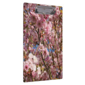 De heldere lentekleur van kersenbloesem klembord (Rechts)