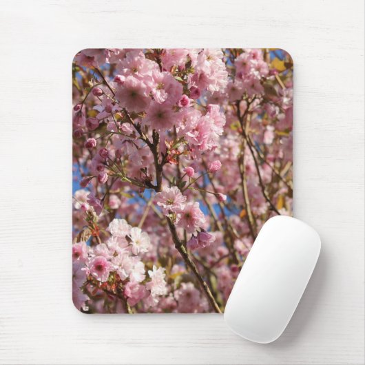 De heldere lentekleur van kersenbloesem muismat (Met muis)