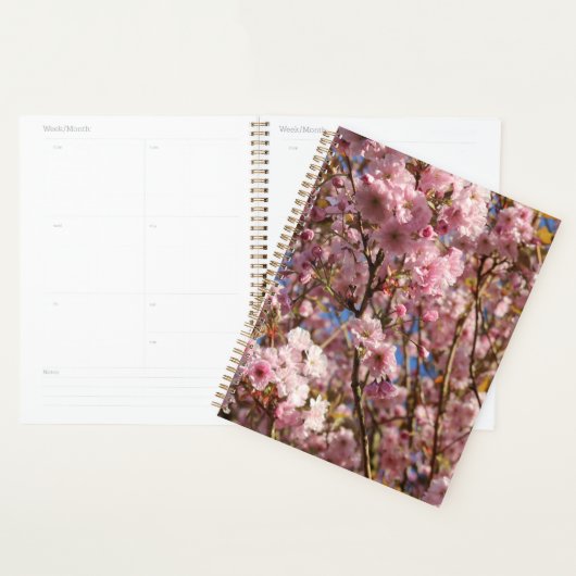De heldere lentekleur van kersenbloesem planner (Display)