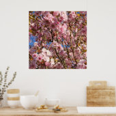 De heldere lentekleur van kersenbloesem poster (Keuken)