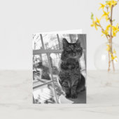 De Heldere Ogen Notecard van het mooie Kat Kaart (Gele Bloem)