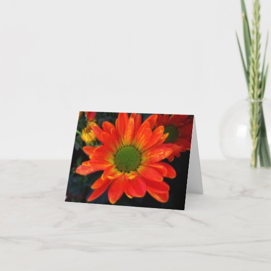 De heldere Oranje Kaart van de Nota Mums (Voorkant)
