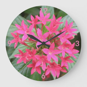 De heldere Roze Tropische Klok van de Muur van