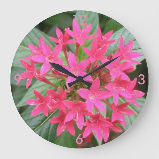 De heldere Roze Tropische Klok van de Muur van (Voorkant)