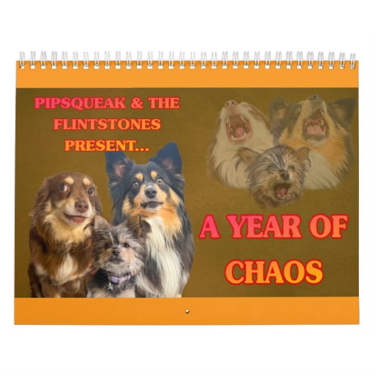 De hele bende kalender (Hoes)