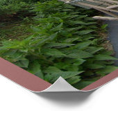 De hele wet wordt samengevat in een Bijbelcitaat.. Poster (Hoek)