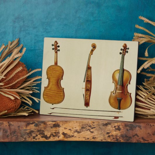 De Hellier violin gemaakt door Antonio Stradivariu Fotoplaat (Zijkant)