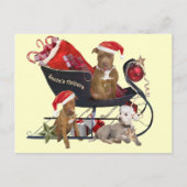De Helpers van de Kerstman van Terrier van Pitbill Feestdagenkaart (Voorkant)