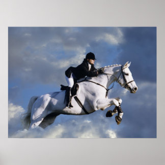 De hemel is de grens poster