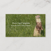 De hemel is omhoog. visitekaartje (Voorkant)