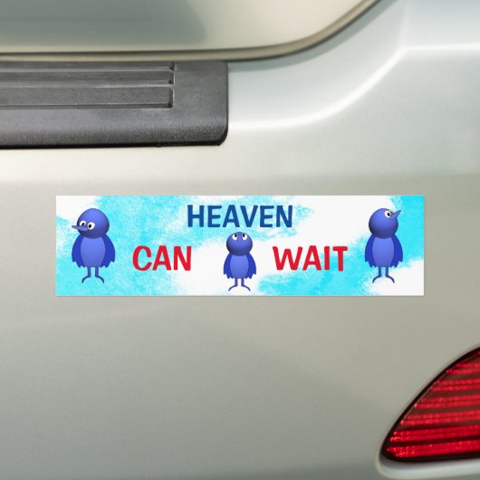 De hemel kan wachten op veiligheid bumpersticker (Op auto)
