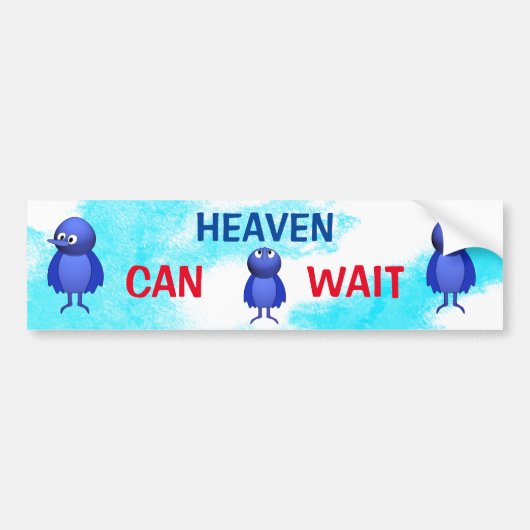 De hemel kan wachten op veiligheid bumpersticker (Voorkant)