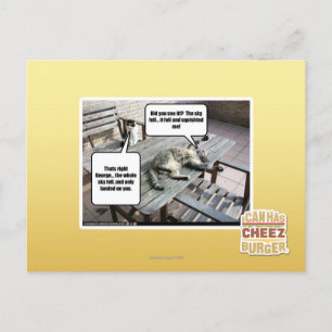 De hemel valt briefkaart