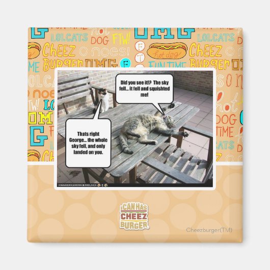 De hemel valt magneet (Voorkant)