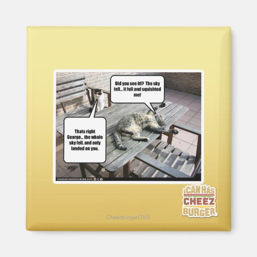 De hemel valt magneet (Voorkant)