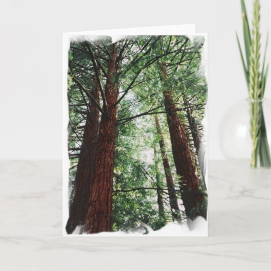 De Hemel van de Californische sequoia Kaart (Voorkant)