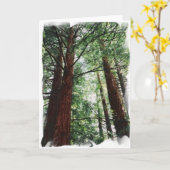 De Hemel van de Californische sequoia Kaart (Gele Bloem)