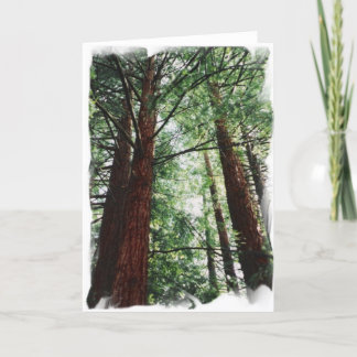 De Hemel van de Californische sequoia Kaart