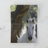 De hengst en het Wenskaart van het boompaard Kaart (Binnen)