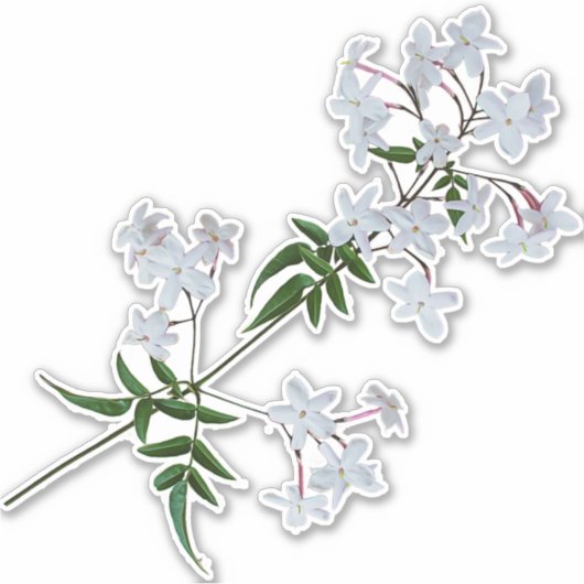 De Herb Jasmine | VinylSticker Sticker (Voorkant)