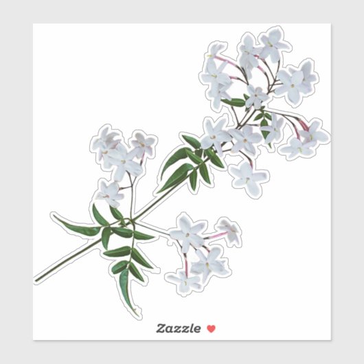 De Herb Jasmine | VinylSticker Sticker (Vel)