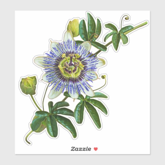 De Herb Passionflower | VinylSticker Sticker (Vel)