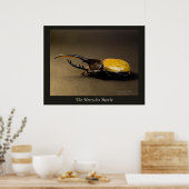 De Hercules Beetle Poster (Keuken)